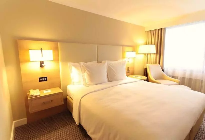 景色の見えるスーペリアルーム, Renaissance London Heathrow