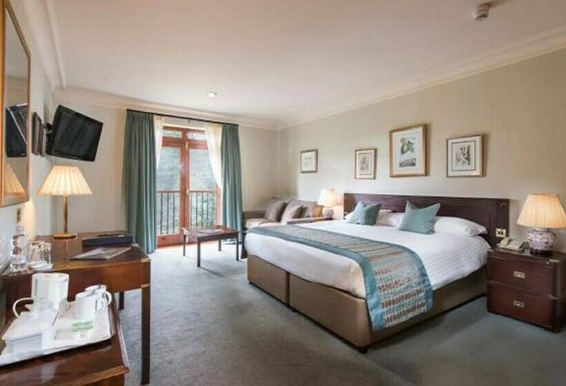 Номер Стандарт Адаптированный для Инвалидов, Seiont Manor