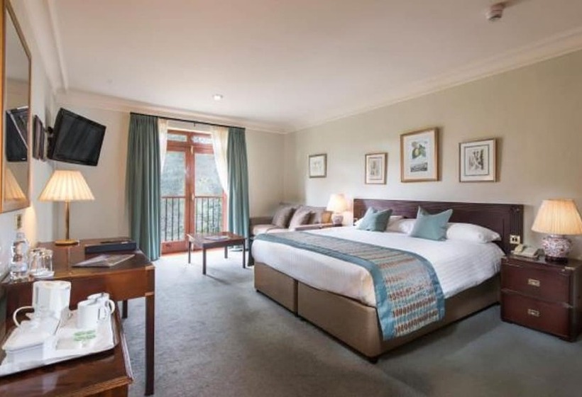 Номер Стандарт Адаптированный для Инвалидов, Seiont Manor