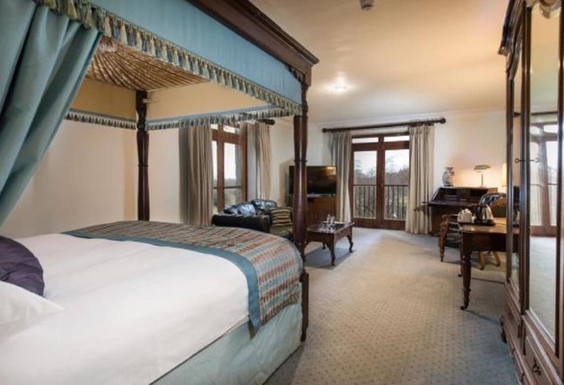 Номер Executive, Seiont Manor