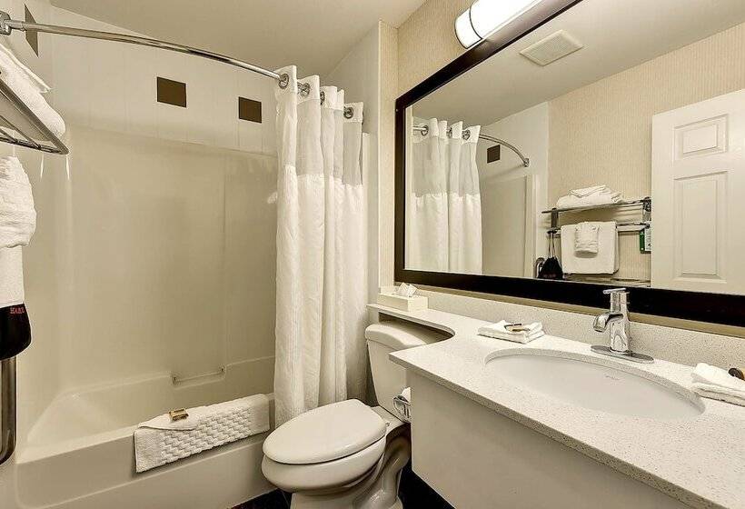 Standaardkamer met 2 Tweepersoonsbedden, Best Western Plus Osoyoos Hotel And Suites