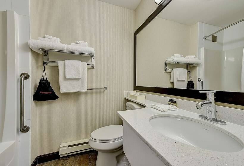 스탠다드 룸 더블 침대 2개, Best Western Plus Osoyoos Hotel And Suites