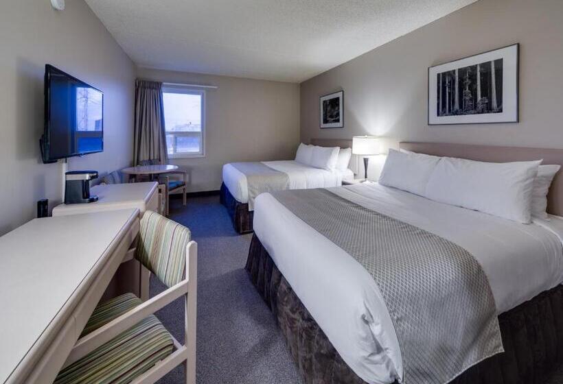 غرفة قياسية, Heritage Inn Hotel & Convention Centre   Brooks