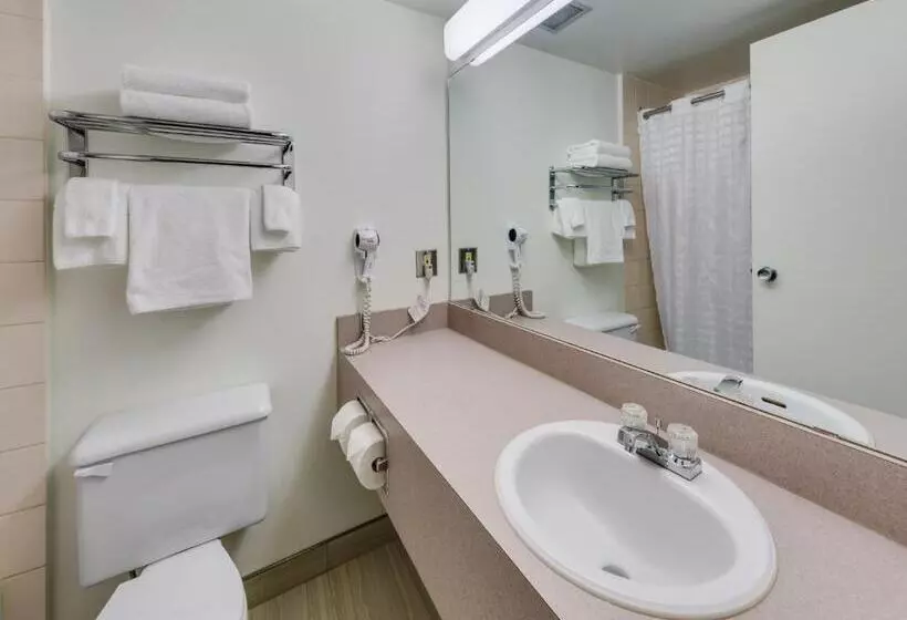 Standard-huone, Heritage Inn Hotel & Convention Centre   Brooks