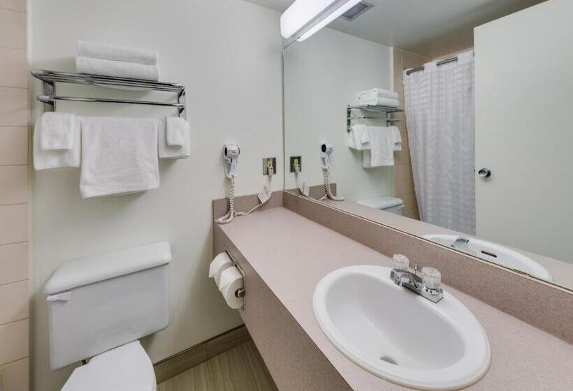 غرفة قياسية سرير كينج, Heritage Inn Hotel & Convention Centre   Brooks