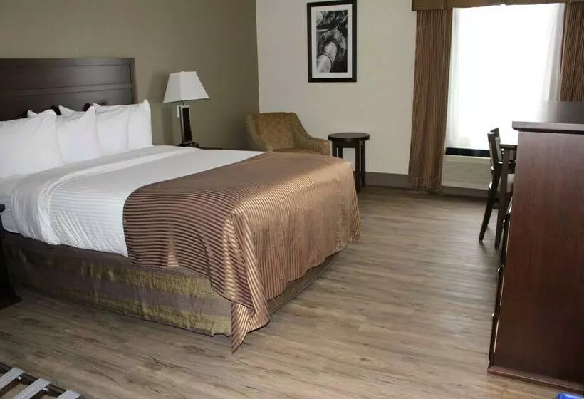 スイート, Best Western High Road Inn