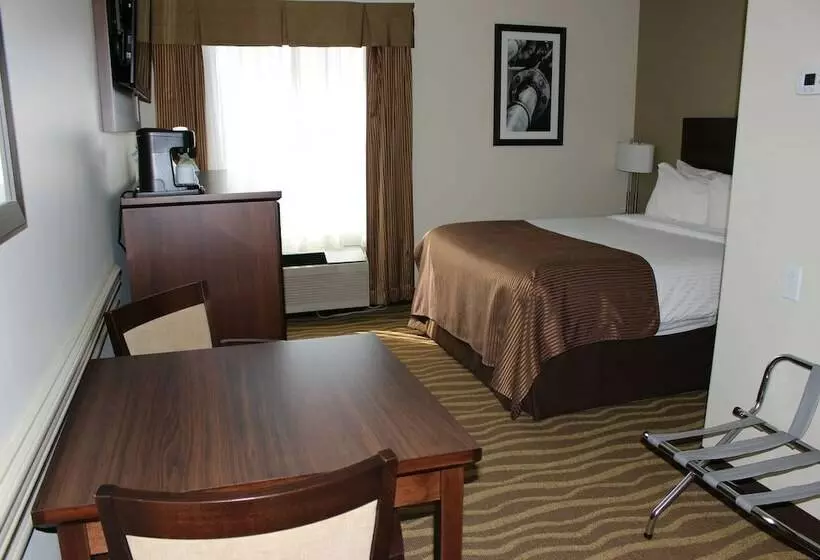 スイート, Best Western High Road Inn