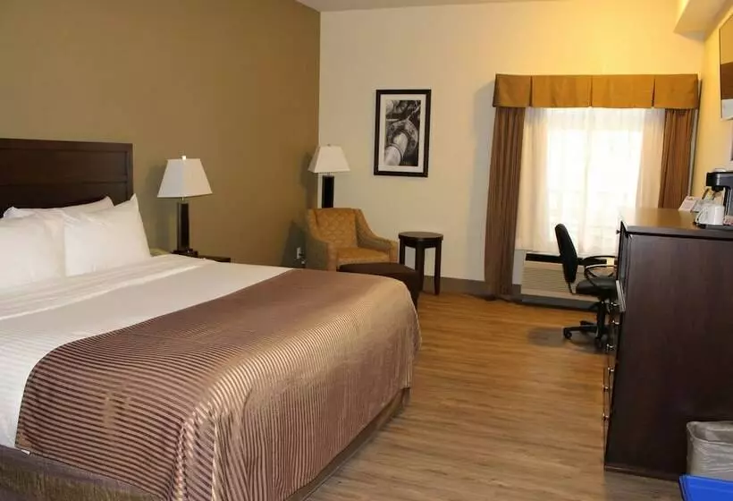 スイート, Best Western High Road Inn