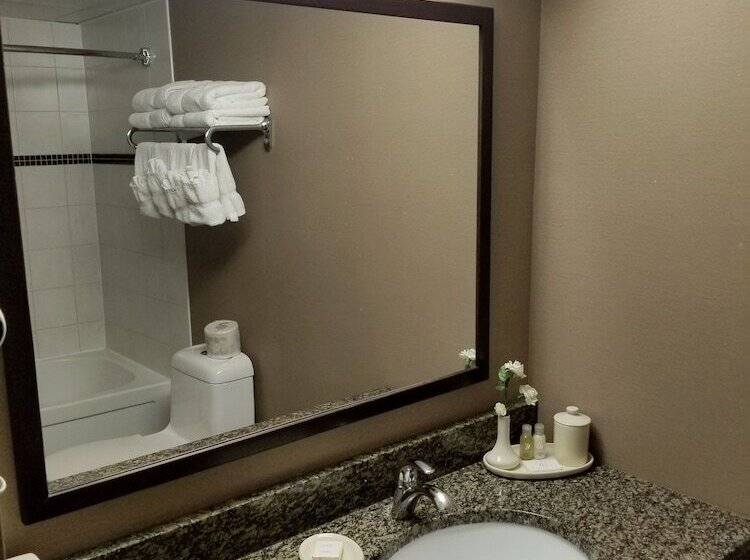 غرفة ديلوكس, Canad Inns Destination Centre Fort Garry