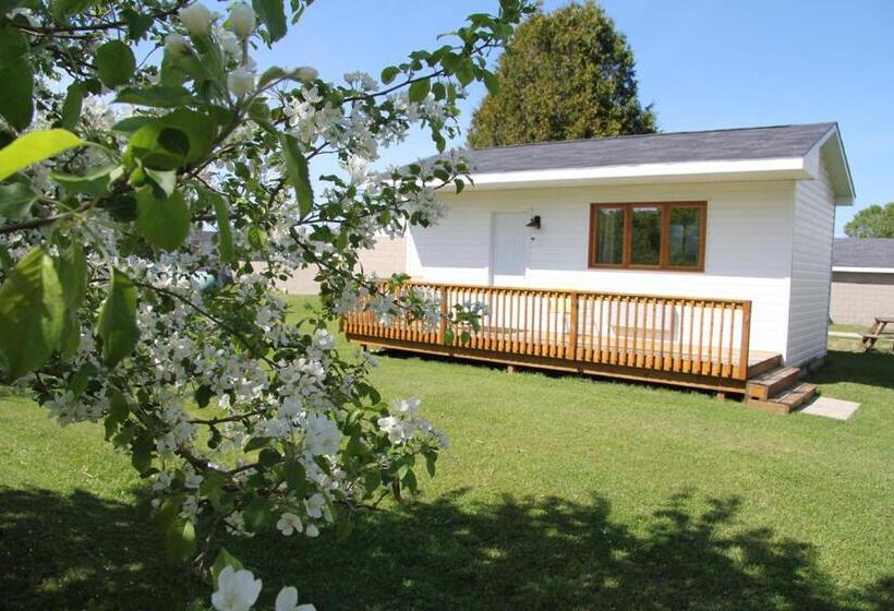 بنجلو قياسى مطلّ علي الحديقة, Coach House Inn