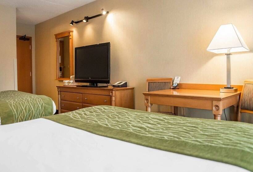 غرفة قياسية, Comfort Inn