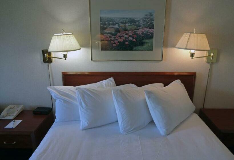 Номер Стандарт, Powell River Town Centre