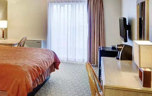سوئیت با تخت بزرگ, Thompson's Best Value Inn & Suites