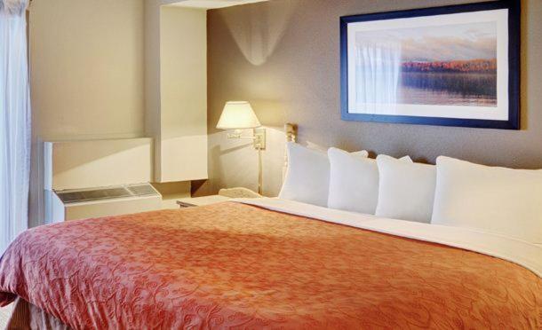 带大床的套房, Thompson's Best Value Inn & Suites