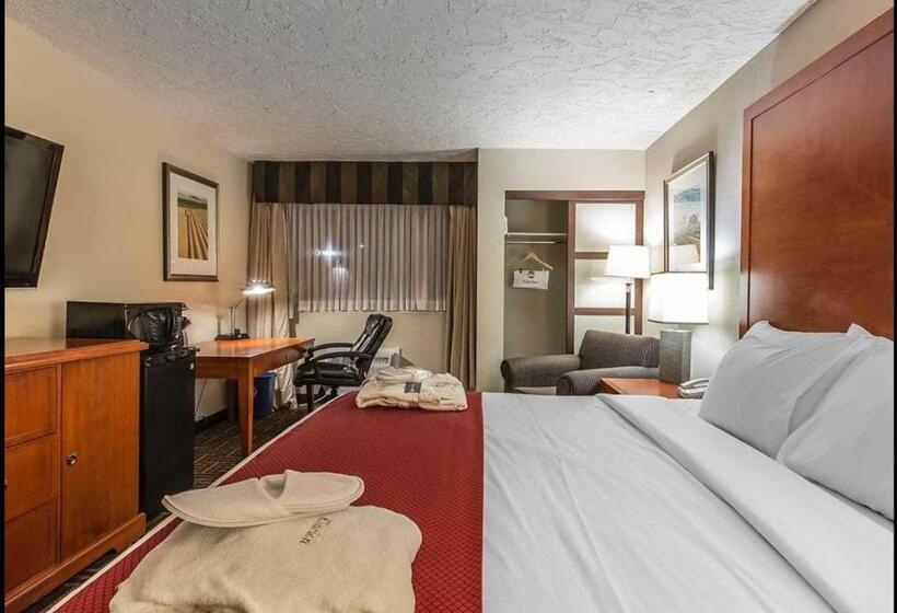 חדר סטנדרט עם מיטת קינג, Wyndham Garden Medicine Hat Conference Center