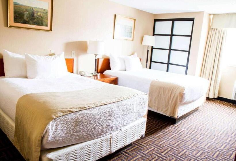 חדר סטנדרט, Wyndham Garden Medicine Hat Conference Center