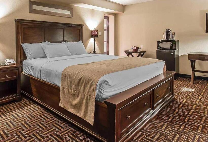 מיטת קינג בסוויטה, Wyndham Garden Medicine Hat Conference Center