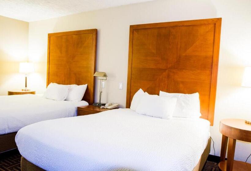 סוויטה, Wyndham Garden Medicine Hat Conference Center