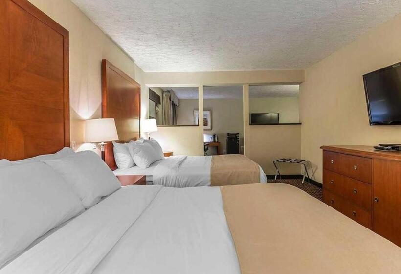 סוויטה, Wyndham Garden Medicine Hat Conference Center