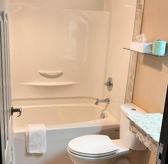 מיטת קינג בסוויטה, Wyndham Garden Medicine Hat Conference Center