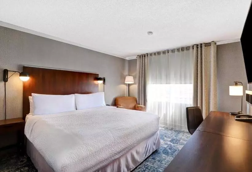 اتاق استاندارد با تخت بزرگ, Four Points By Sheraton Toronto Mississauga