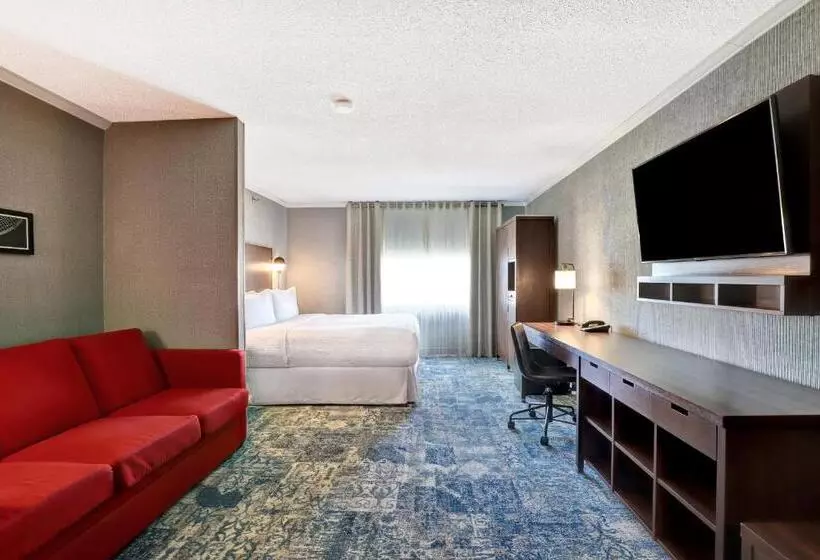 اتاق لوکس با تخت بزرگ, Four Points By Sheraton Toronto Mississauga