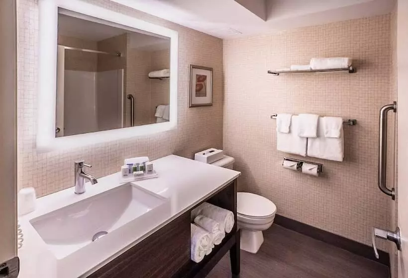 スタンダードルーム, Holiday Inn Osoyoos