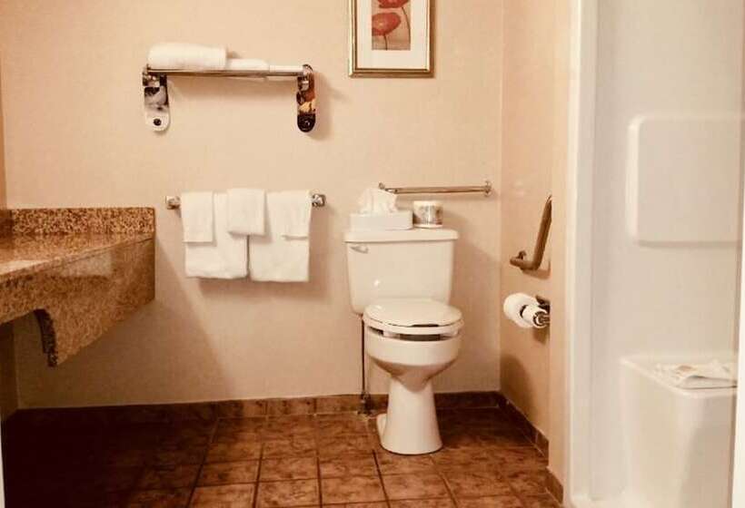 סוויטה מותאמת לאדם עם מוגבלויות, Holiday Inn Osoyoos