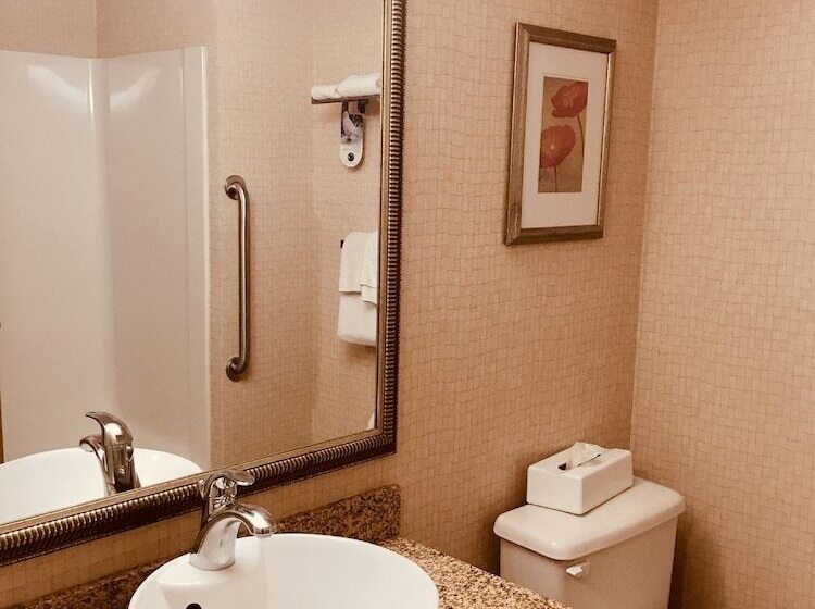 חדר סטנדרט עם נוף, Holiday Inn Osoyoos