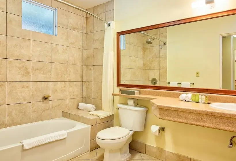 سوئیت جونیور با چشم‌انداز باغ, Fiesta Resort Central Pacific   All Inclusive