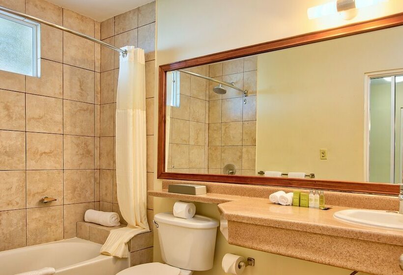 غرفه قياسيه سريرين مزدوجين, Fiesta Resort Central Pacific All Inclusive