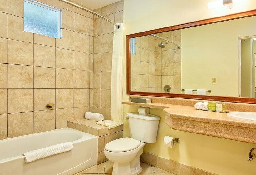 غرفة قياسية سرير كينج, Fiesta Resort Central Pacific All Inclusive