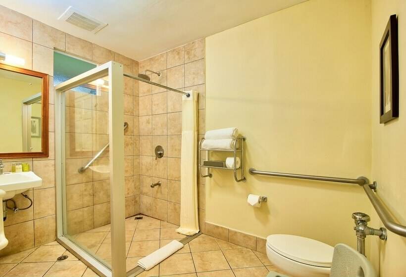 غرفة قياسية سرير كينج, Fiesta Resort Central Pacific All Inclusive