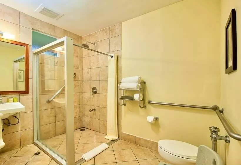 اتاق استاندارد با تخت بزرگ, Fiesta Resort Central Pacific   All Inclusive