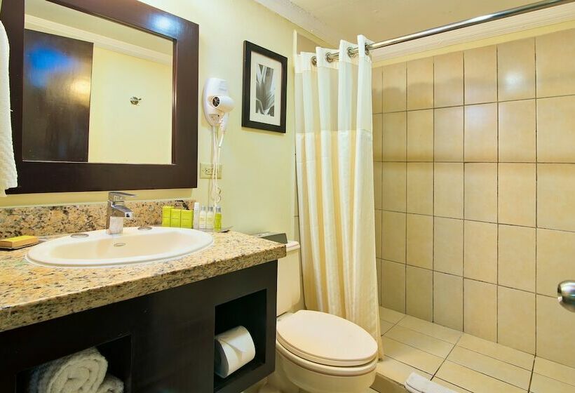 غرفة قياسية سرير كينج, Fiesta Resort Central Pacific All Inclusive