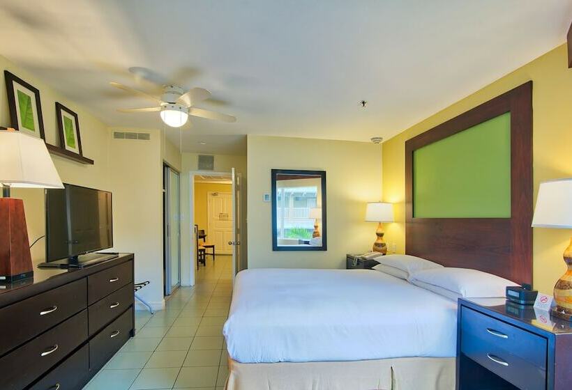 سوئیت جونیور با چشم‌انداز باغ, Fiesta Resort Central Pacific   All Inclusive