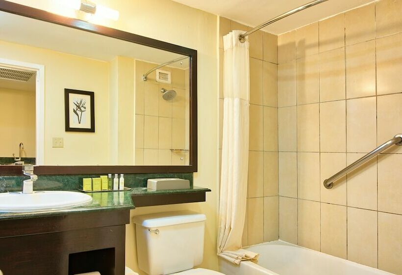 سوئیت جونیور با چشم‌انداز باغ, Fiesta Resort Central Pacific   All Inclusive