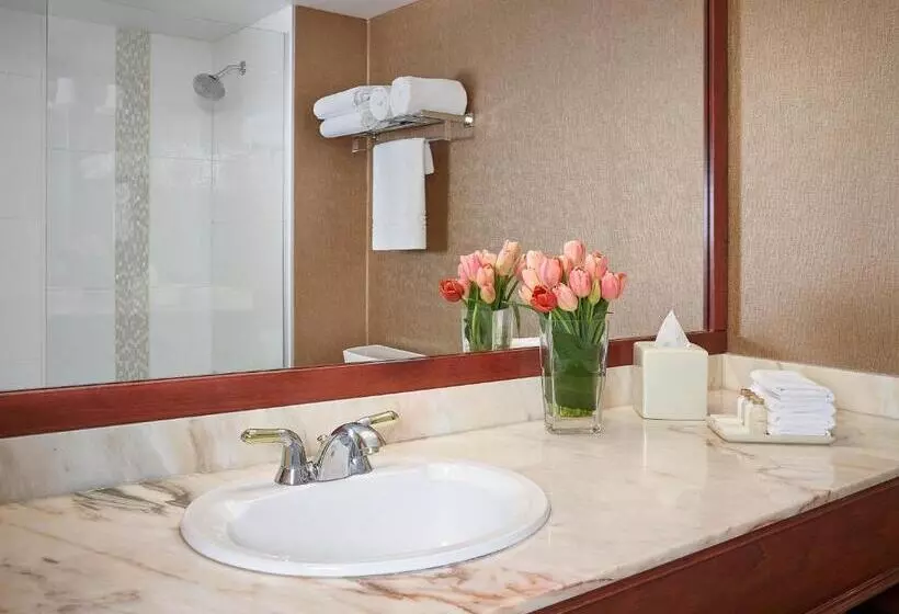 اتاق استاندارد با تخت بزرگ, Varscona Hotel On Whyte