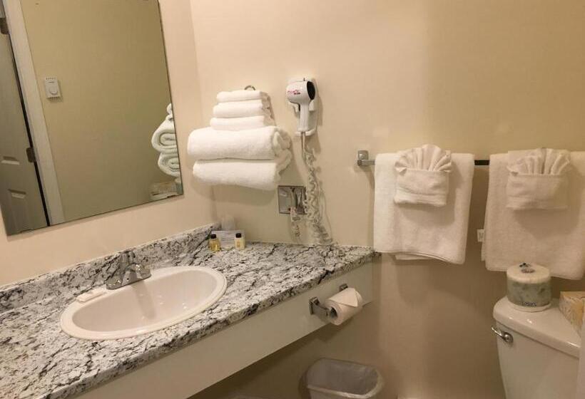 חדר סטנדרט עם מיטת קווין, Wessex Inn By The Sea