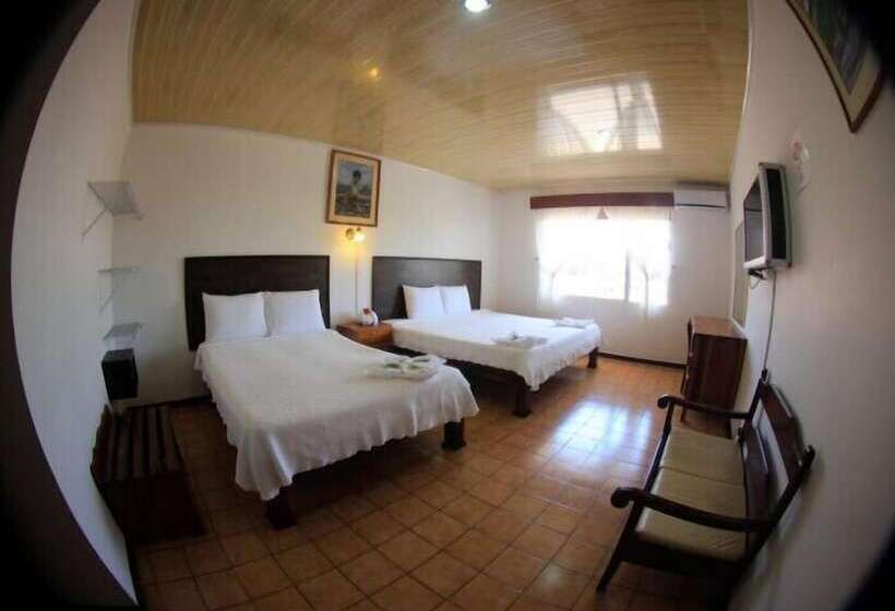 اتاق استاندارد, Yadran