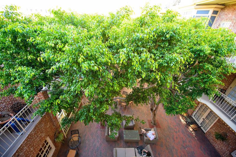 اتاق استاندارد, Grand Hyatt Shanghai