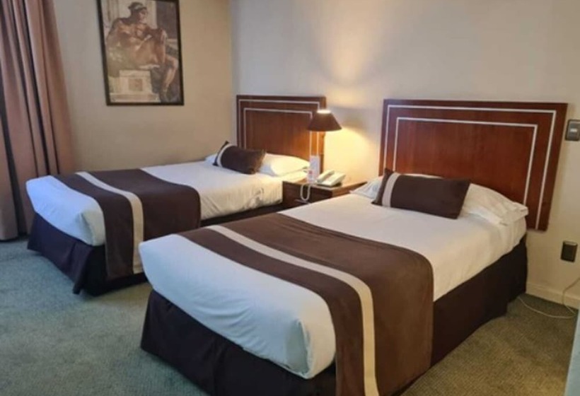 חדר סטנדרט, Leonardo Da Vinci