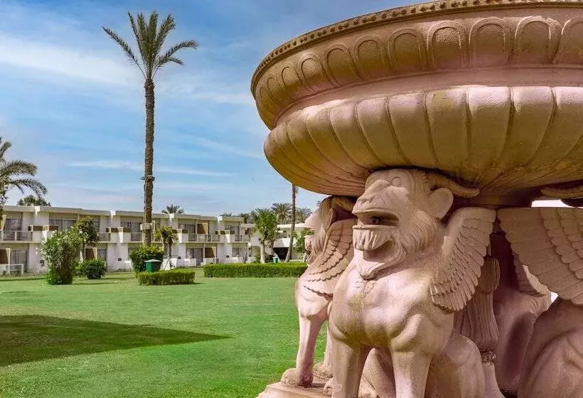 スタンダードルーム, Pyramids Park Resort Cairo