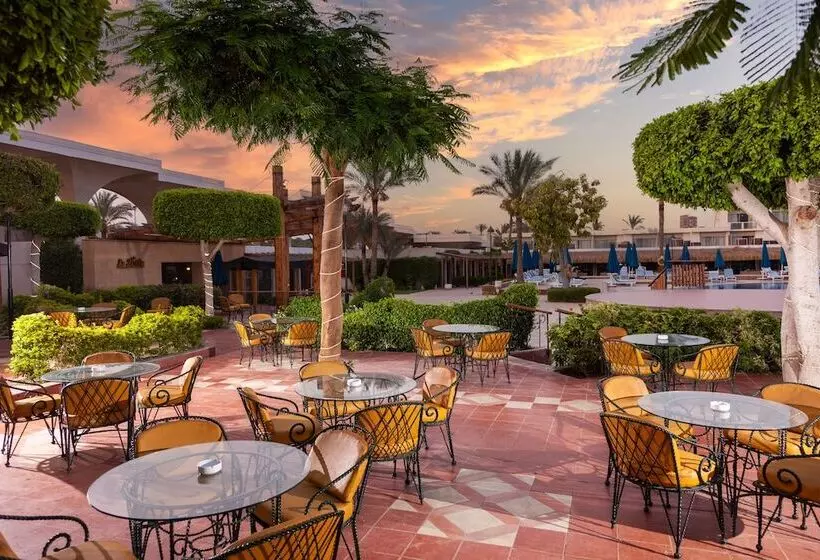 スタンダードルーム, Pyramids Park Resort Cairo