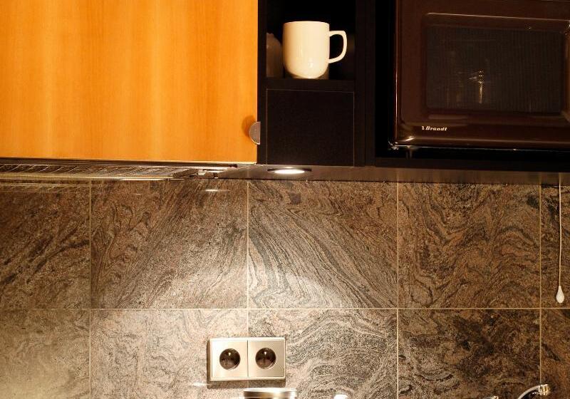 スタンダードスタジオ, Aparthotel Adagio Paris Haussmann Champs Elysées