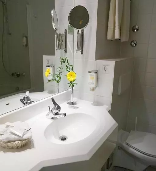 اتاق استاندارد یک نفره, Plaza Inn Chemnitz