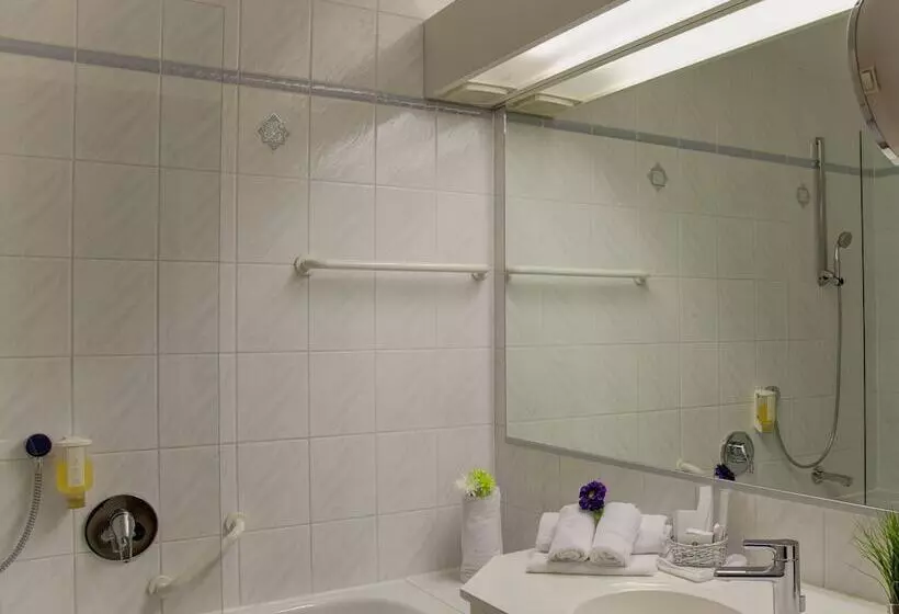 اتاق استاندارد, Best Western Plus Parkhotel Erding