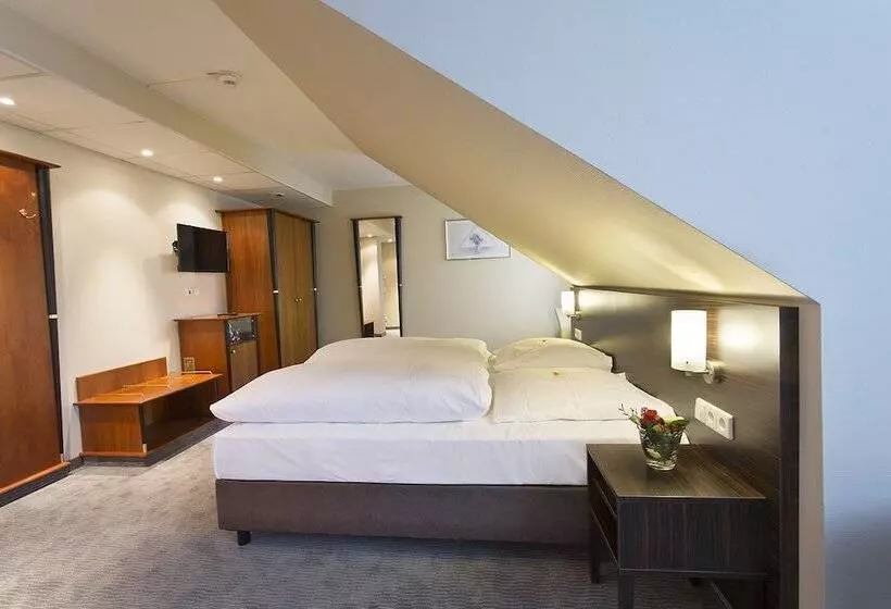 Quarto Triplo Standart, Erikson