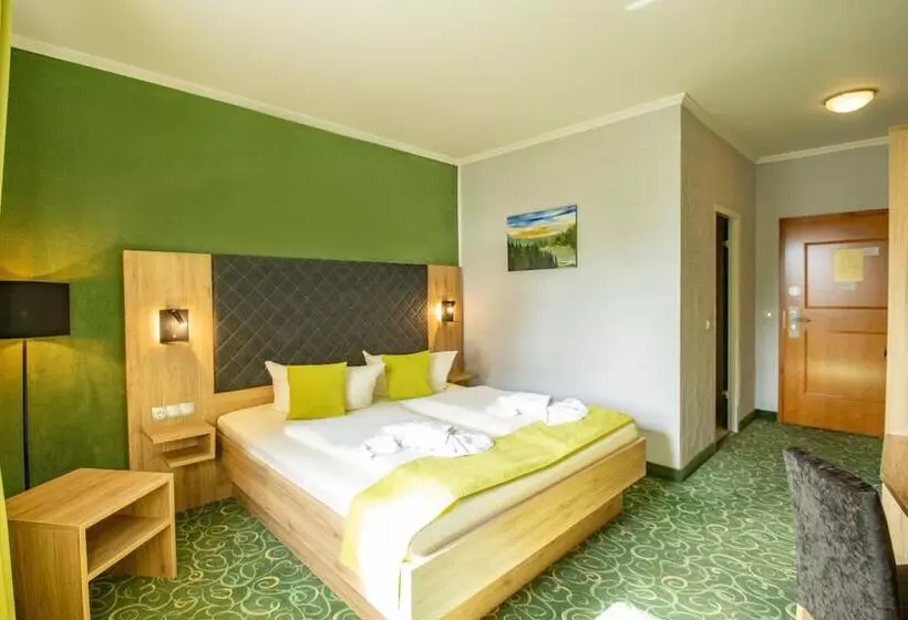 Standard Yhden Hengen Huone, Panorama Berghotel Wettiner Höhe