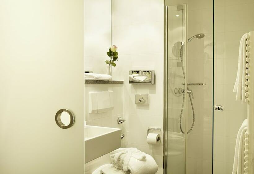 חדר סטנדרט, Stadt Freiburg